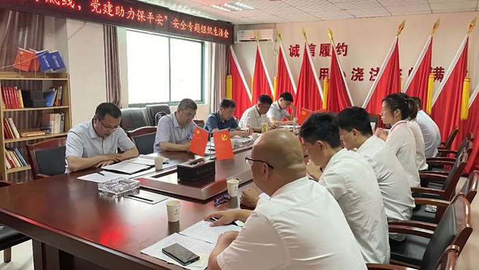 河南片区项目联合党支部.jpg