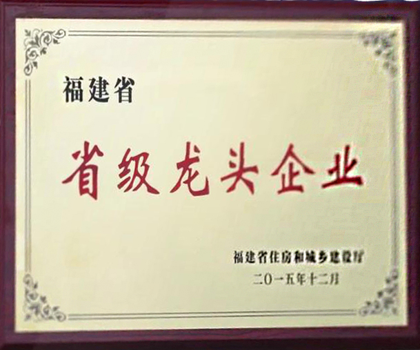 福建省龙头企业