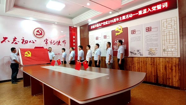 1593650494221735.jpg 临金项目党支部组织开展“七一”建党系列主题活动1 - 副本.jpg