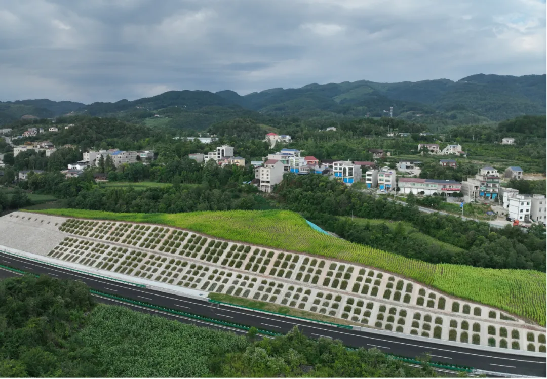 岁末收官传捷报！三项核心技术斩获省部级科学技术奖