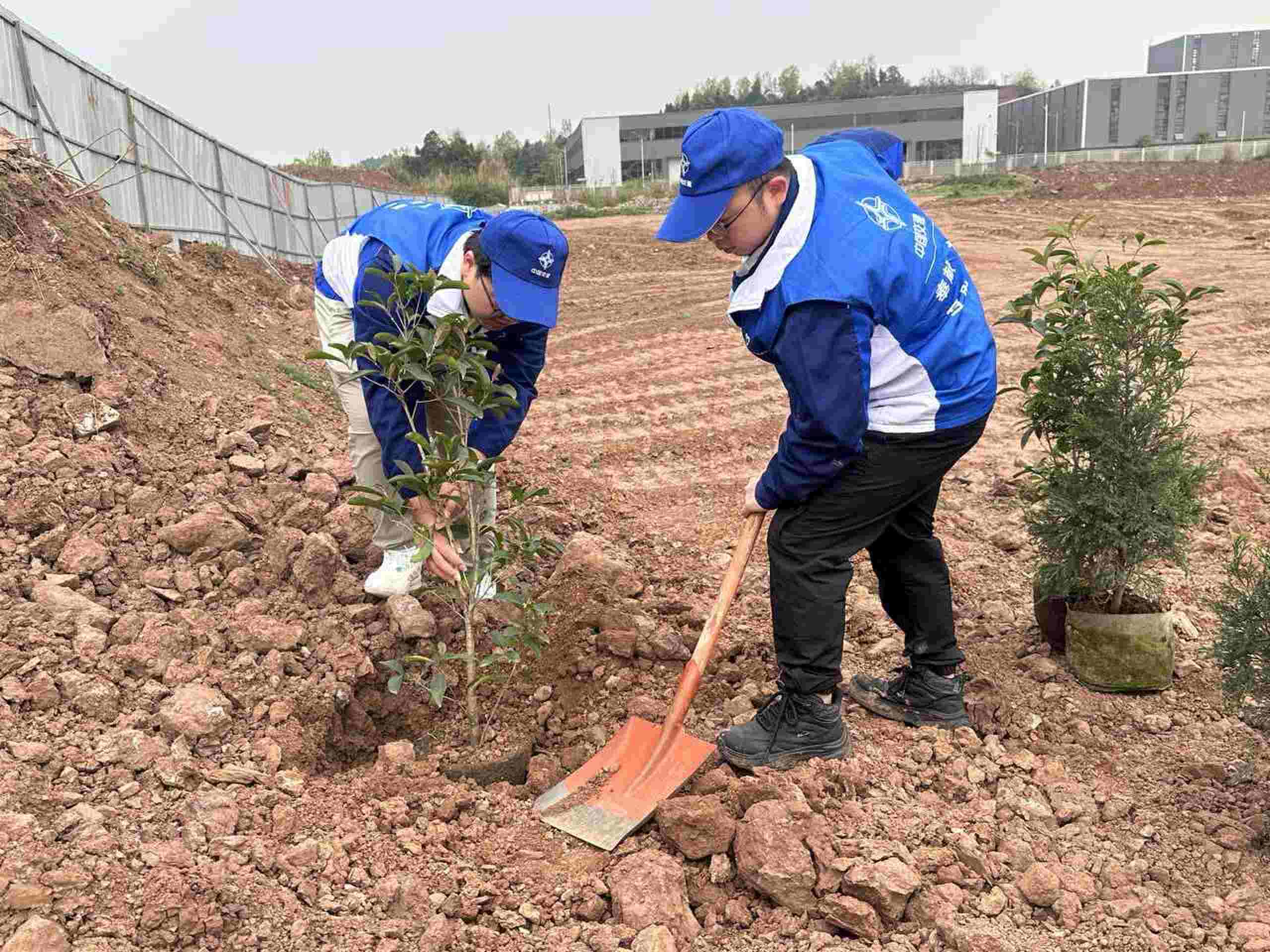 16689798075148687103_proc_new