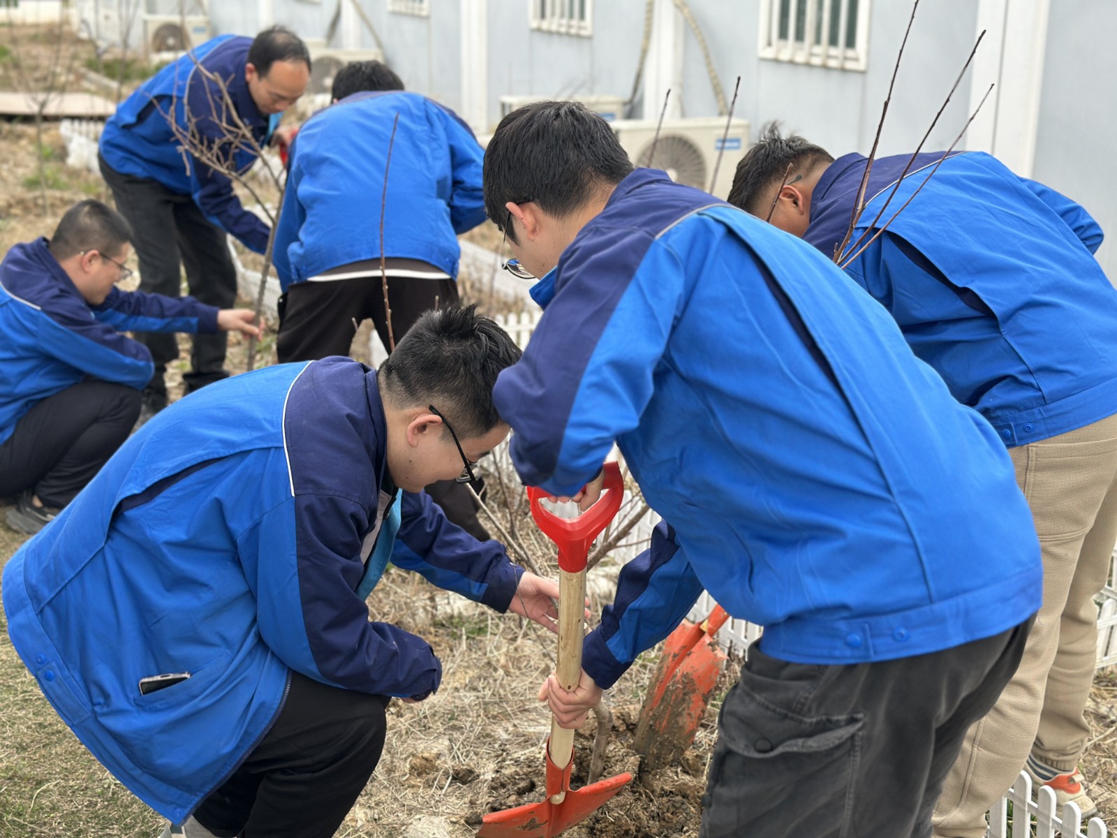 和无七标植树节1_proc