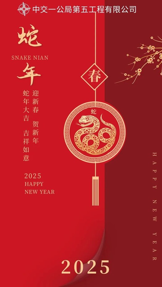 图片12