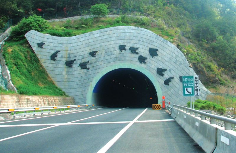 新加：龙丽温高速龙游竹海隧道