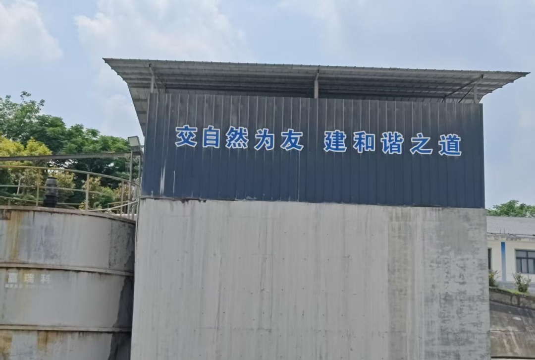 图片6 图片6
