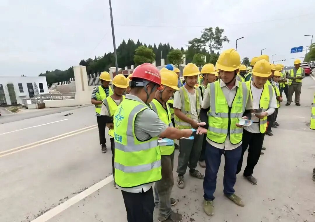 图片14 图片14
