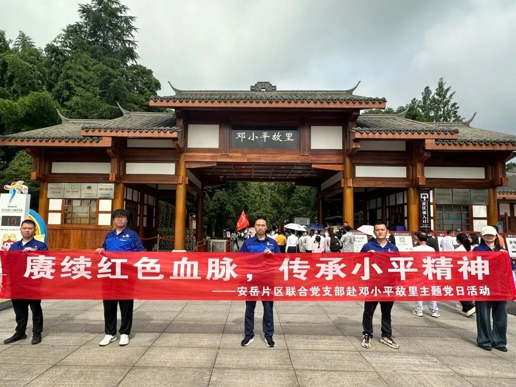 图片15